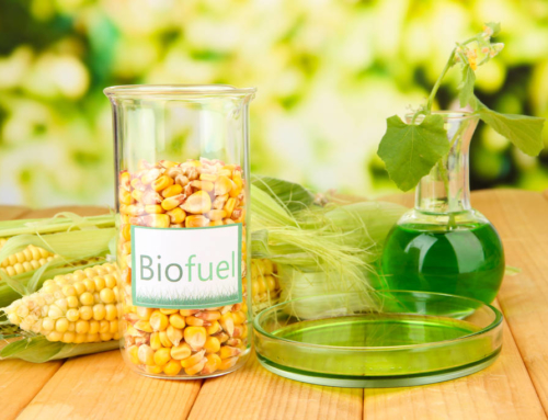 Was ist Bioethanol?